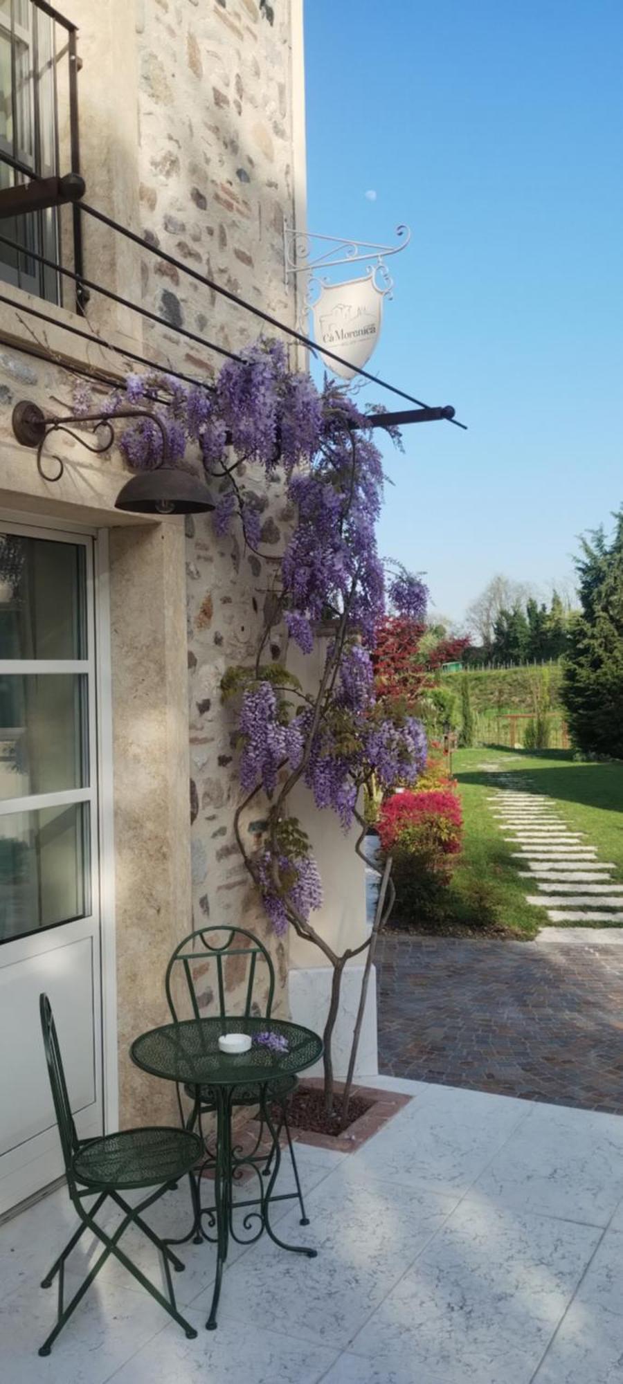 Relais Ca' Morenica Valeggio sul Mincio Εξωτερικό φωτογραφία