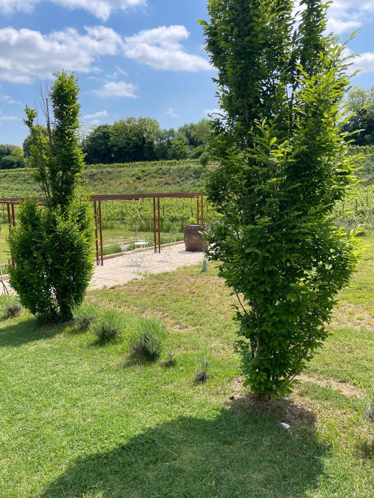 Relais Ca' Morenica Valeggio sul Mincio Εξωτερικό φωτογραφία